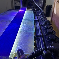 水槽、海水魚生体セットの画像