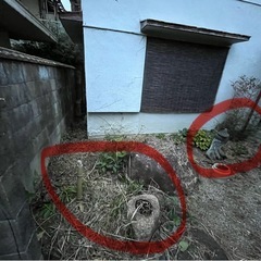 庭園の石など　無料の画像