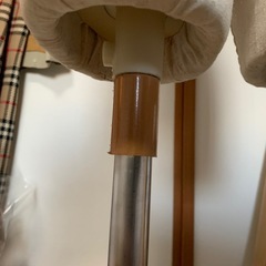 トルソーの画像