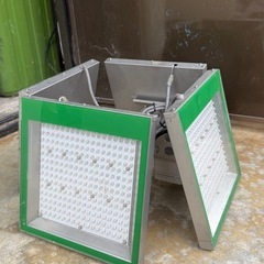 植物ライト
の画像