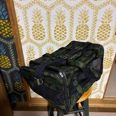 ペットキャリーバッグの画像