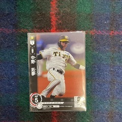 阪神タイガース　中野拓夢選手　佐藤輝明選手　缶バッジ　カード　ドアプレートの画像
