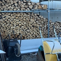 栗の木薪
の画像