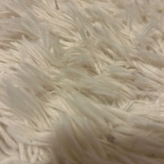 シンプル　ラグカーペットの画像