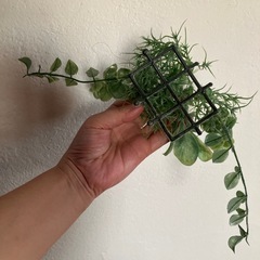 ⭕️フェイクグリーン★インテリア雑貨の画像