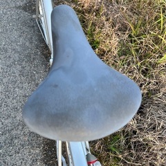 折りたたみ自転車20インチ現状の画像