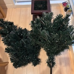 クリスマスツリーの画像