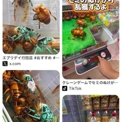 蝉の抜け殻　フィギュア　の画像