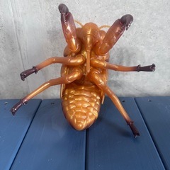 蝉の抜け殻　フィギュア　の画像