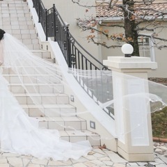 ヴェールの画像