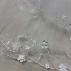 ヴェールの画像