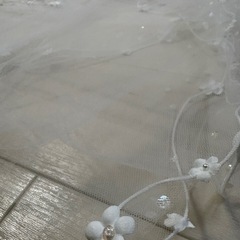 ヴェールの画像