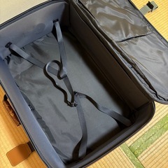 トラベルバッグの画像