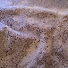 Francfranc   ラグ【取引先決定しました】の画像