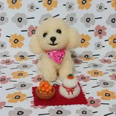 羊毛フェルト 犬 クリーム色 ピンクバンダナ　手作りみかんと鏡餅の画像