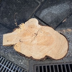 切り株の画像