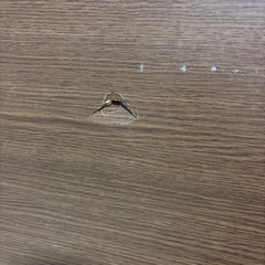 180cmこたつセットの画像