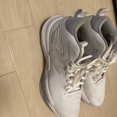 バスケットボールシューズ NOVA SURGE 3の画像