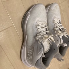 バスケットボールシューズ NOVA SURGE 3の画像