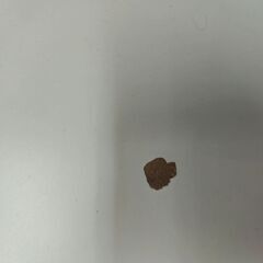 ✨️ジモティー割引✨️【ジャングルジャングル堺初芝店】　現状販売　システムキッチンボード　堺市（東区　西区　北区　南区　堺区　美原区）高石市　泉大津市　忠岡町　和泉市　松原市　大阪狭山市の画像