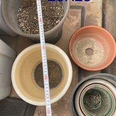 鉢セットの画像