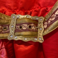 ディズニー公式　エレナ　ドレス　158センチの画像