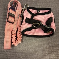 犬　リードセットの画像