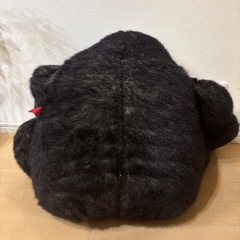 ゴリラのぬいぐるみ
の画像