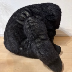 ゴリラのぬいぐるみ
の画像
