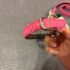 犬　リードセットの画像