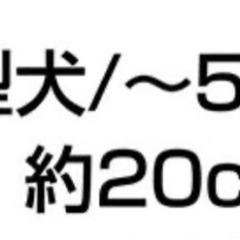 新品同様【ペティオ 首輪】の画像
