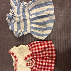 犬　洋服の画像