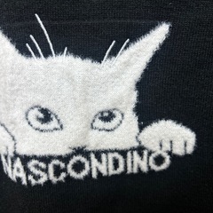 ねこちゃんニットの画像