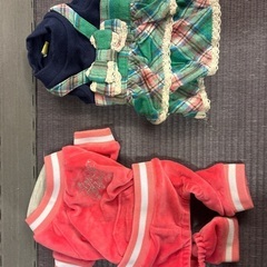 犬　猫　洋服の画像