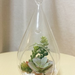 francfranc フェイクグリーンの画像