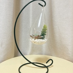 francfranc フェイクグリーンの画像