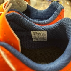 室内用トレーニングシューズの画像