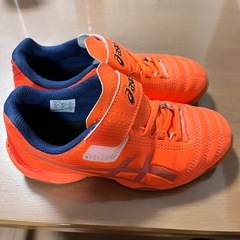 室内用トレーニングシューズの画像