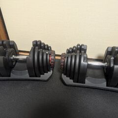 可変式ダンベル/5～40kg×2の画像