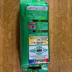 写ルンですの画像