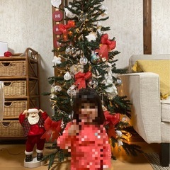 クリスマスツリー　＋　オーナメントの画像