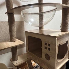 キャットタワーの画像