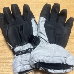 メンズ
スキー用グローブの画像