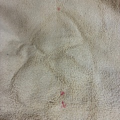 中古品　６畳用絨毯の画像