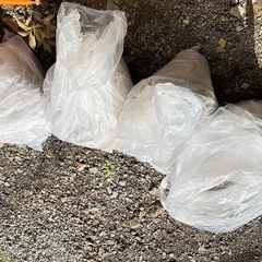 灰(薪ストーブから出た)の画像