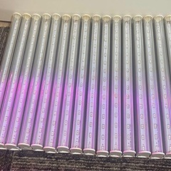 植物育成LEDライトの画像