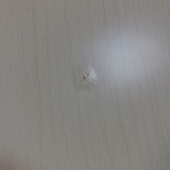 テーブルの画像