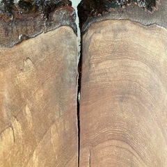 テーブルの画像