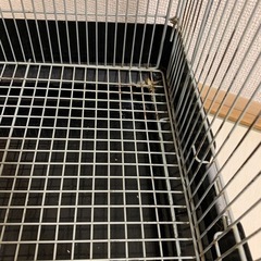 小動物 ケージ(イージーホーム)の画像
