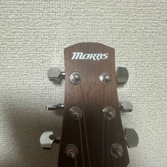 モーリス　F011の画像